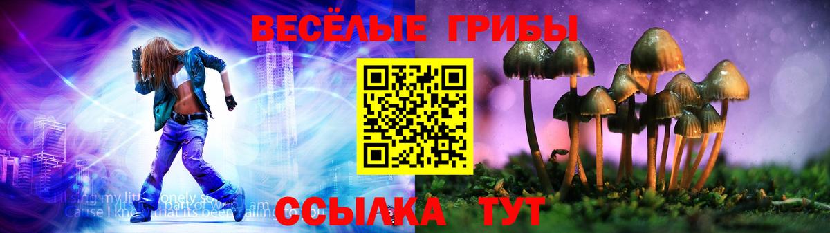Галлюциногенные грибы прущие грибы Жигулёвск